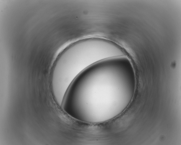 X0000092231316200709140934