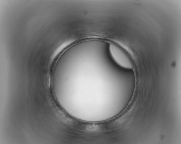 X0000092231317200709140934