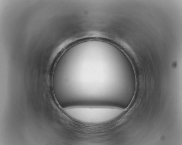 X0000092231318200709140934