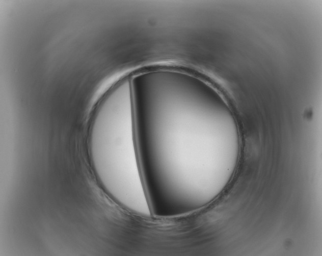 X0000092231319200709140934