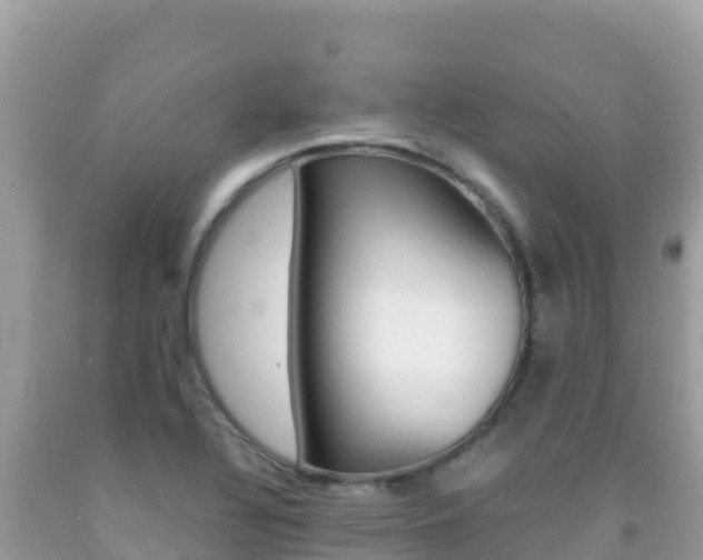 X0000092231320200709140934