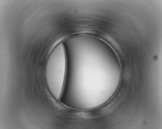 X0000092231321200709140934