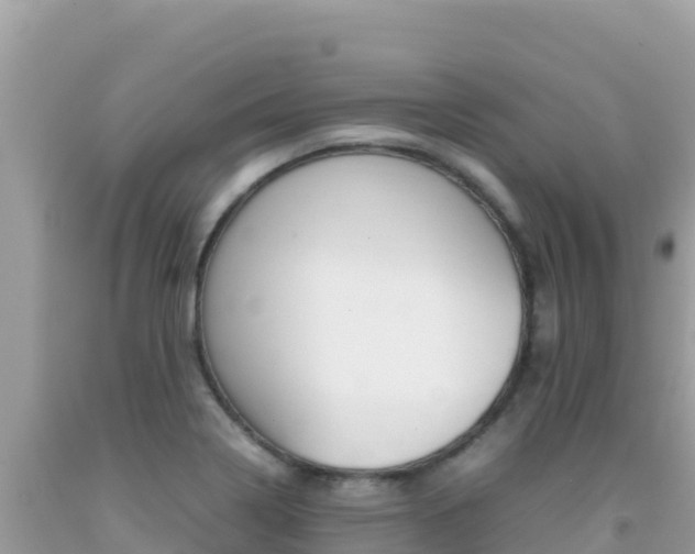 X0000092231322200709140934