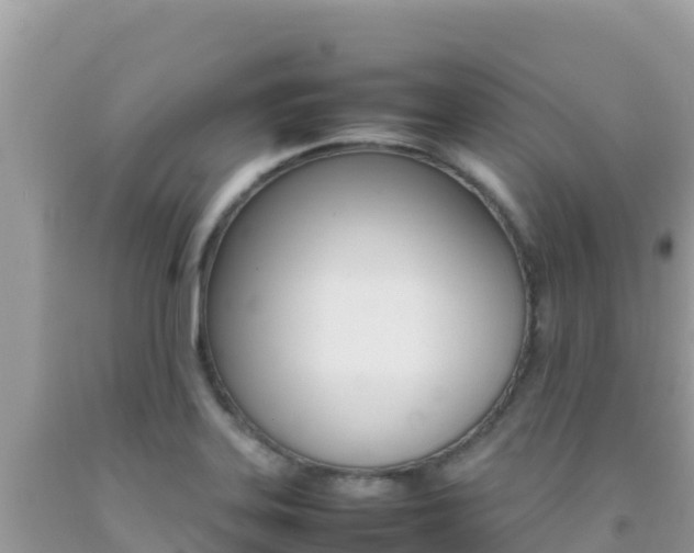 X0000092231323200709140934