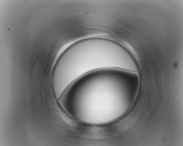 X0000092231324200709140934