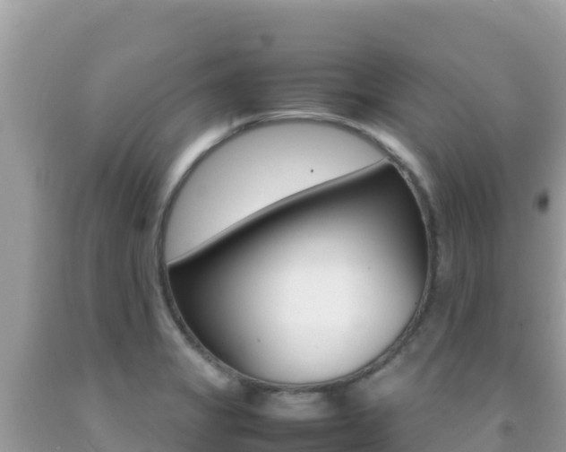 X0000092231325200709140934