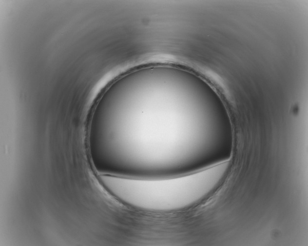 X0000092231326200709140934
