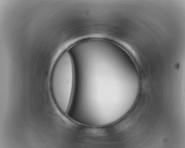 X0000092231327200709140934