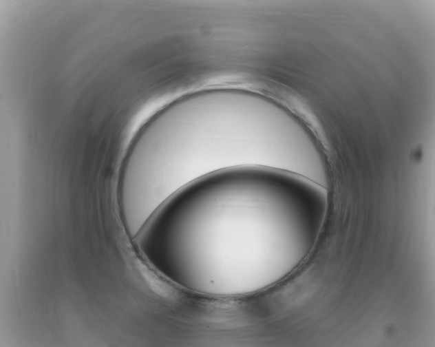 X0000092231328200709140934