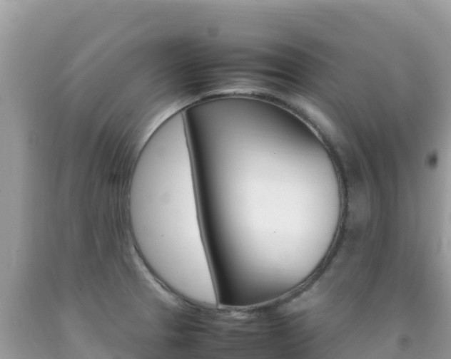 X0000092231329200709140934