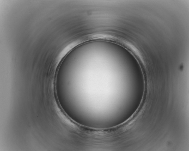 X0000092231330200709140934