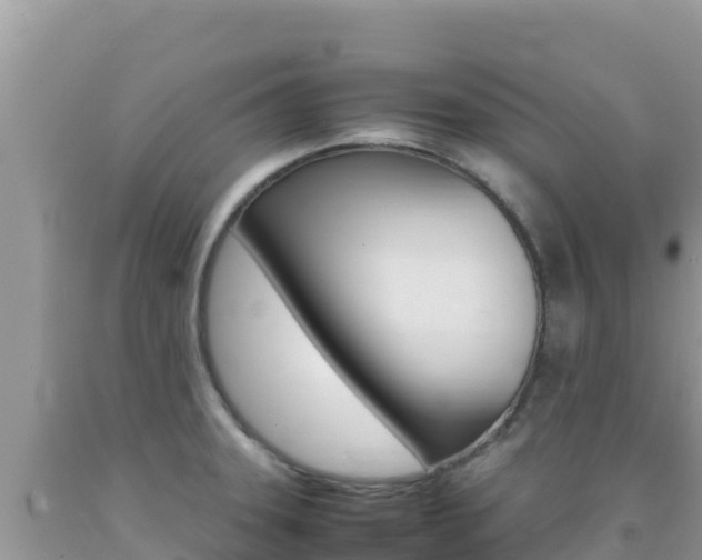 X0000092231331200709140934