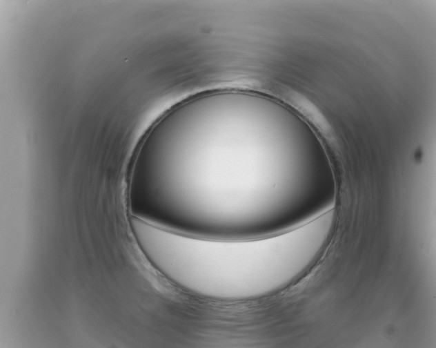 X0000092231332200709140934
