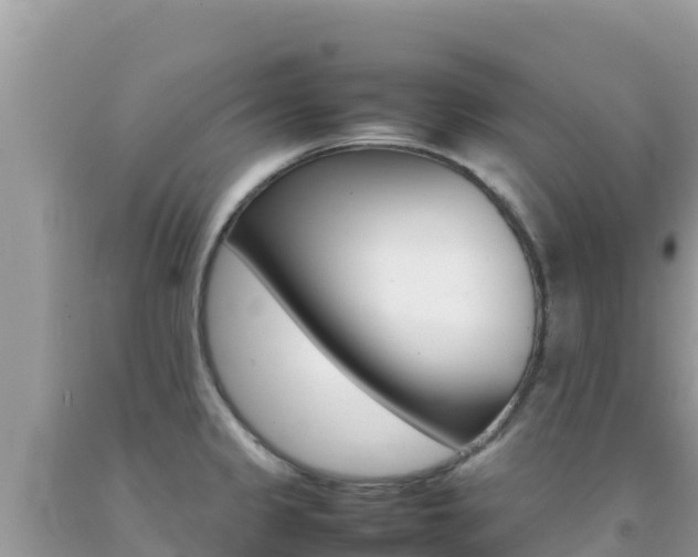 X0000092231333200709140934