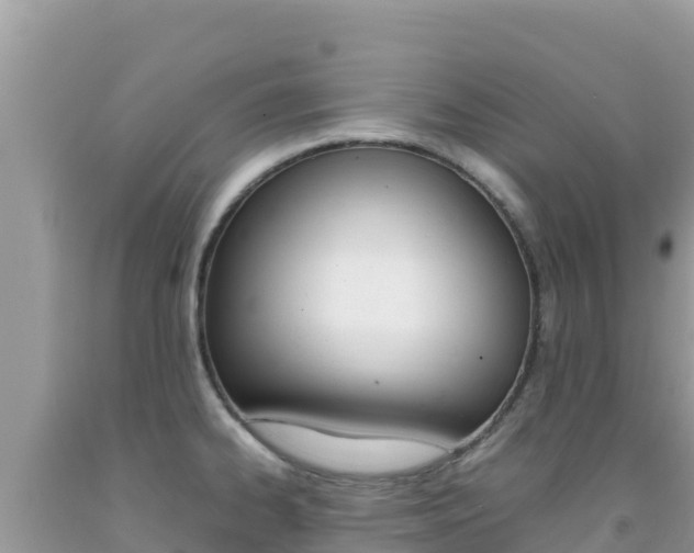 X0000092231334200709140934