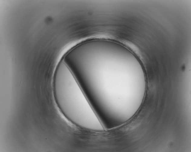X0000092231335200709140934