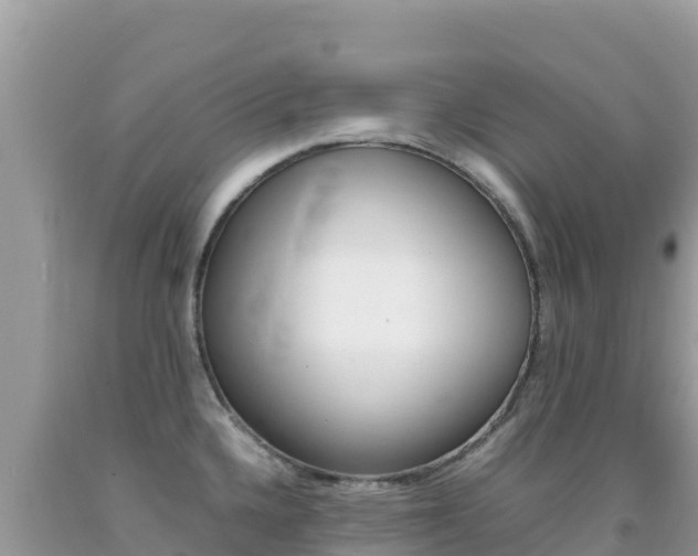 X0000092231336200709140934