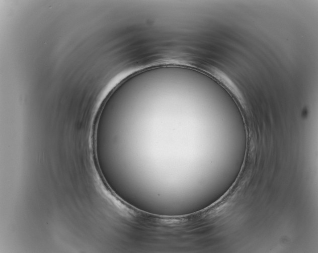 X0000092231339200709140934