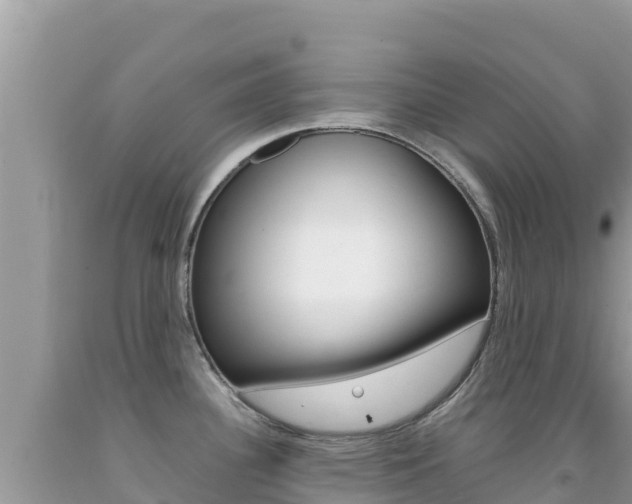 X0000092231340200709140934