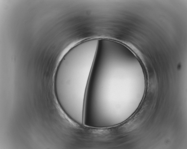 X0000092231341200709140934