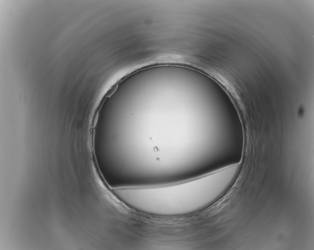 X0000092231342200709140934
