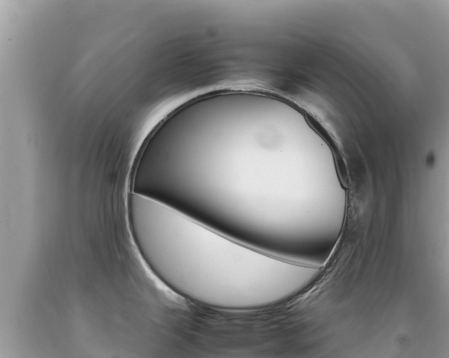 X0000092231343200709140934
