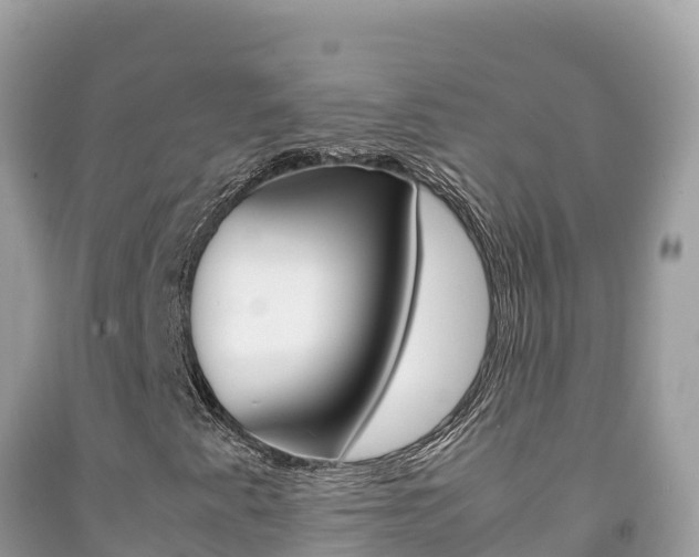 X0000092231345200709140933