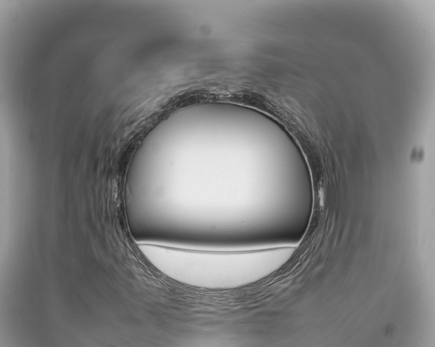 X0000092231347200709140933