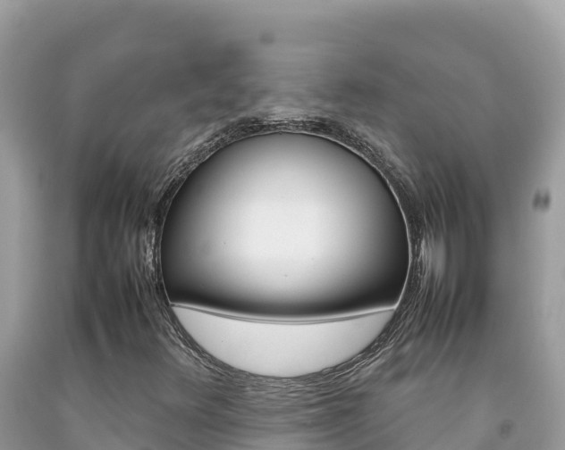 X0000092231348200709140933