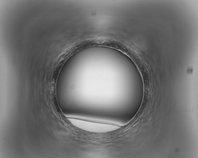 X0000092231349200709140933