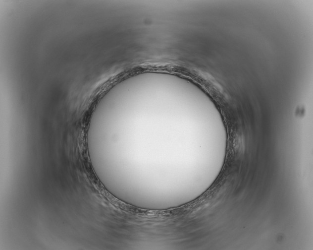 X0000092231350200709140933