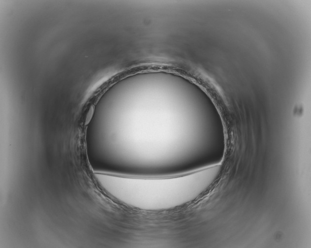 X0000092231352200709140933