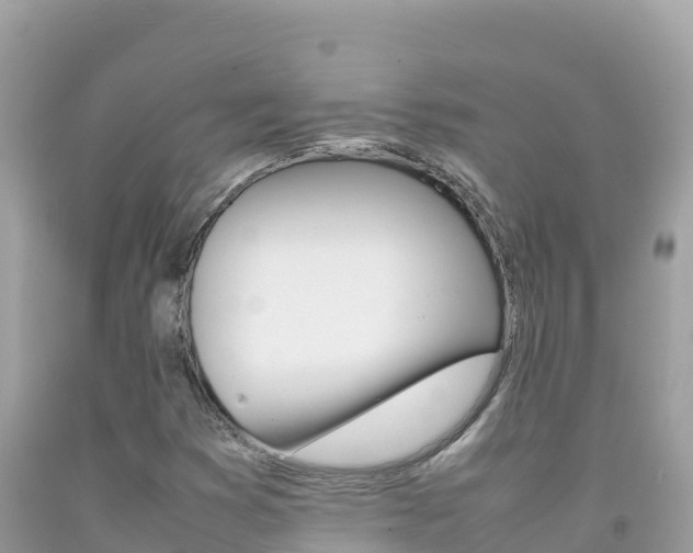 X0000092231353200709140933