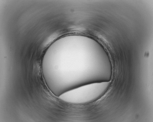 X0000092231354200709140933