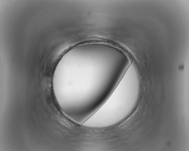 X0000092231355200709140933