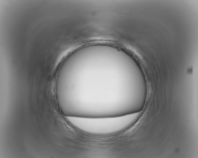 X0000092231357200709140933