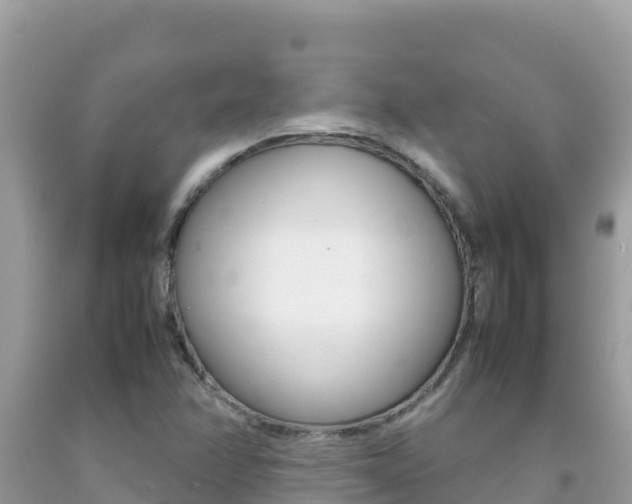 X0000092231358200709140933