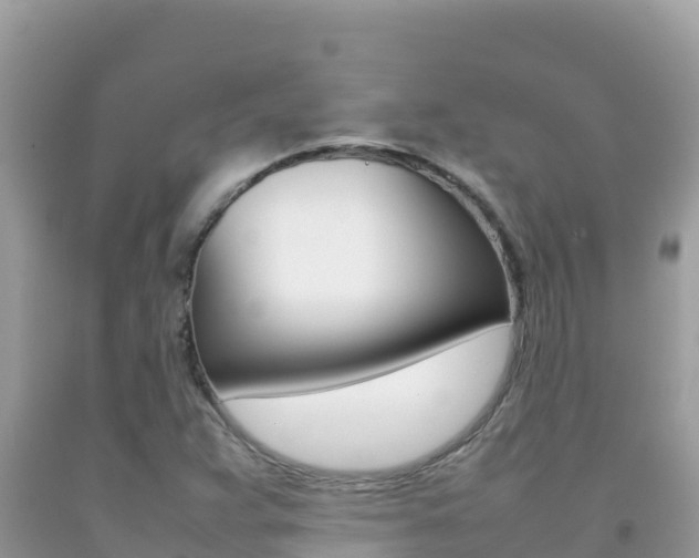 X0000092231359200709140933