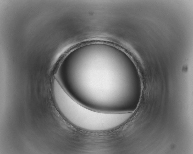 X0000092231360200709140933