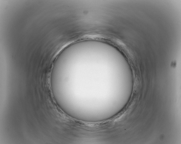 X0000092231361200709140933