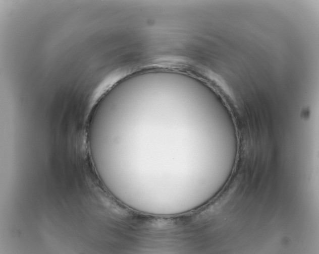 X0000092231362200709140933