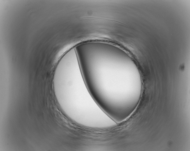 X0000092231363200709140933