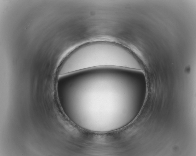 X0000092231364200709140933