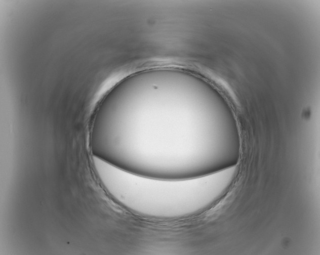 X0000092231365200709140933