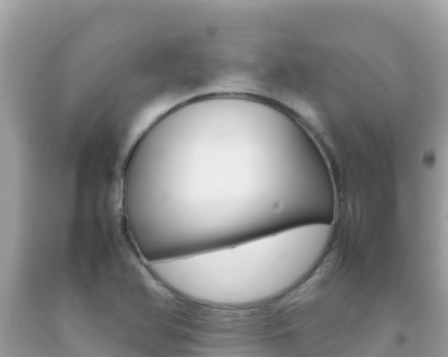 X0000092231366200709140933