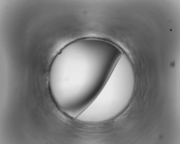 X0000092231367200709140933