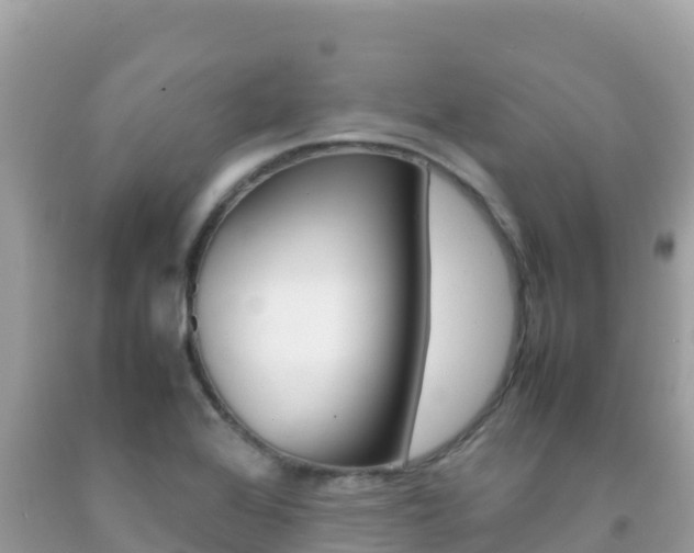 X0000092231368200709140933