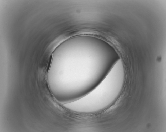 X0000092231369200709140933