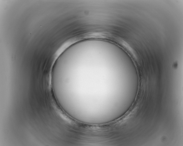 X0000092231370200709140933