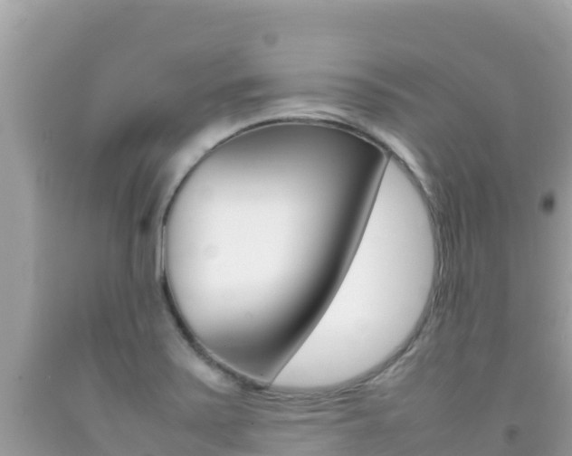 X0000092231371200709140933